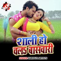 Sali Ho Chala Baswari Pawan Tiwari Song Download Mp3