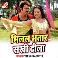 Milal Bhatar Sakhi Dhila songs mp3