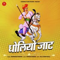 Dholiya Jaat Munnaram Mirdha,Raj Studio Raila Song Download Mp3