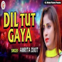 Dil Tut Gaya Amrita Dixit Song Download Mp3