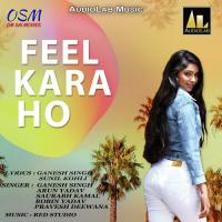 Feel Kara Ho Arun Yadav Song Download Mp3