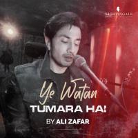 Ye Watan Tumara Hai Ali Zafar Song Download Mp3