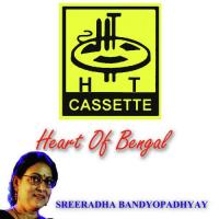 Jhar Uthache Sreeradha Bandopadhya Song Download Mp3