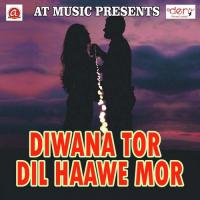 Diwana Tor Dil Haawe Mor Aakash Chandrakar Song Download Mp3