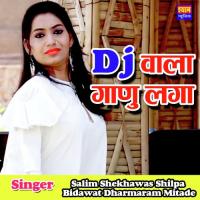 DJ Wala Ganu Laga Salim Khekhawat,Shilpa Bidawat,Dharmaram Mitade Song Download Mp3