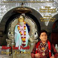 Rang Chad Gaya Sai Nandu Song Download Mp3