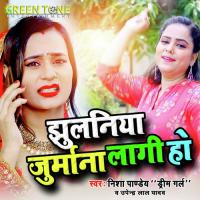 Jhulaniya Jurmana Lagi Ho (Bhojpuri Song) Ramu Singh Song Download Mp3