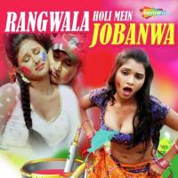 Rangwala Holi Mein Jobanwa songs mp3