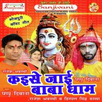 Sawan Ke Somwari Rajesh Awsthi Song Download Mp3