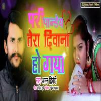 Pari Pandey Tera Deewana Ho Gaya Aman Dwivedi Song Download Mp3