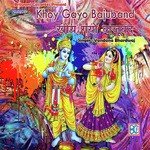 Mero Khoy Gayo BajuBand Vandana Bhardwaj Song Download Mp3