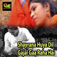 Shayrana Huya Dil Gajal Gaa Raha Hai Vishwanath Anand Song Download Mp3