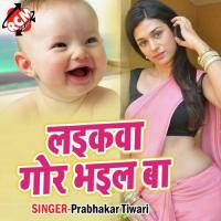 Laikawa Gor Bhail Ba songs mp3