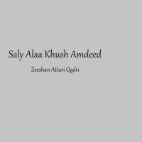 Saly Alaa Khush Amdeed Zeeshan Attari Qadri Song Download Mp3