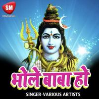 Kari Bhola Ji Ke Darshan Manoj Tiwari Song Download Mp3