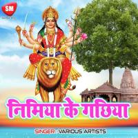 Baghwa Sawari Sab Tej Ka Diha Golu G. K.G Song Download Mp3