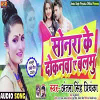 Sonara Ke Dokanwa E Balamu Abhishek Sargam Nishad Song Download Mp3