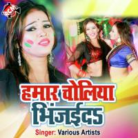Kaise Rangai Saya Sari Deepak Kumar Song Download Mp3