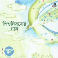 Mora Nachi Phule Phule Animesh Bijay Chowdhury Song Download Mp3