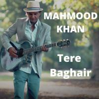 Tere Baghair songs mp3