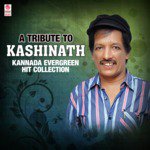 A Tribute To Kashinath Kannada Evergreen Hit Collection songs mp3