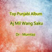 Aj Mil Wang Saku songs mp3