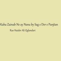 Kaha Zainab Ne Ay Nana By Sag E Der E Panjtan Rao Haider Ali Qalandari Song Download Mp3