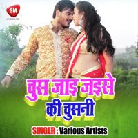 Chush Jai Jaise Ki Chusni Dilip Raj Diwana Song Download Mp3