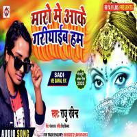 Nachele Chhauri Odhani Utaar Ke Pawan Parwana Song Download Mp3