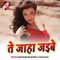 Te Jaha Jaibe Chand Alam Song Download Mp3