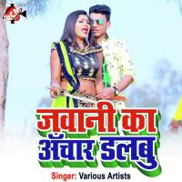 Chadhal Jawani Ka Dalbu Achar Manjeet Raja Song Download Mp3