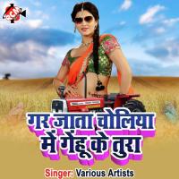 Bhatar Mora Kariya Ba Ta Bipin Singh Song Download Mp3