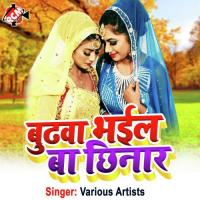 Budhawa Bhail Ba Chhinar (Bhojpuri) songs mp3