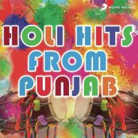 Holi Hits From Punjab songs mp3