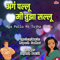 Aga Pallu Chal Jara Tu Hallu Hallu Jayesh Patil Song Download Mp3
