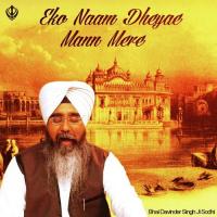 Eko Naam Dheyae Mann Mere Bhai Davinder Singh Sodhi Song Download Mp3