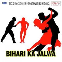 Vijaiya Paglaye Wala Ba Vijay Mali Song Download Mp3