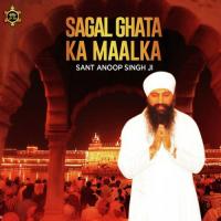 Sagal Ghata Ka Malka Sant Anoop Singh Ji Song Download Mp3