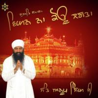 Vighan Na Kou Laagta Sant Anoop Singh Ji Song Download Mp3