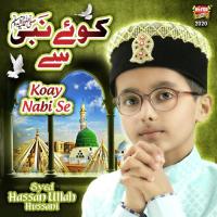 Koay Nabi Se Syed Hassan Ullah Hussaini Song Download Mp3