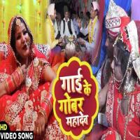 Gaai Ke Gobar Mahadev Anita Shivani Song Download Mp3