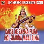 Nadan Tim Gawta Bhajnwa Sunesh Snehi Song Download Mp3
