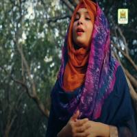 Moula Ali RA Hiba Mehmood Song Download Mp3