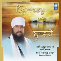 Bawrey Tai Gyan Bichar Na Paeya Bhai Jagroop Singh Jawaddi Taksal Song Download Mp3