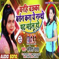 Gharahi Chauka Bartan Kara Ye Nanado Padh Bhailu Ho Kavita Yadav Song Download Mp3
