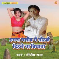 Hamra Naseeb Mein Tohke Dihale Na Bidhata Shailesh Raj Song Download Mp3