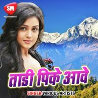 Sex Pa Tax Lagal Ba Umesh Chhapriya Yadav Song Download Mp3