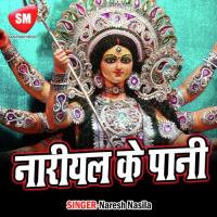 Dhori Me Kajar Laga Liha Naresh Nasila Song Download Mp3