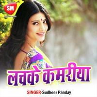 Hamar Mai Marela Sudheer Panday Song Download Mp3