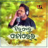 Dil Nelu Chorei Humane Sagar Song Download Mp3